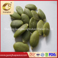 Best Quality for Export Snow White Pumpkin Seeds AAA